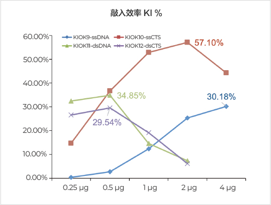 TRAC位点敲入效率高达54