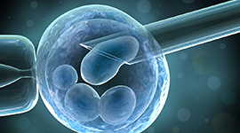 CELL Selection/Activation