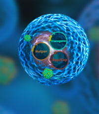 How to improve plasmid and viral vector manufacturing process