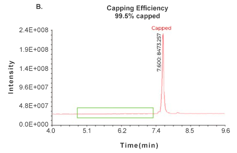 catalog mRNa products cGFP mrna data
