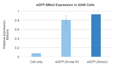 catalog mRNa products cGFP mrna data