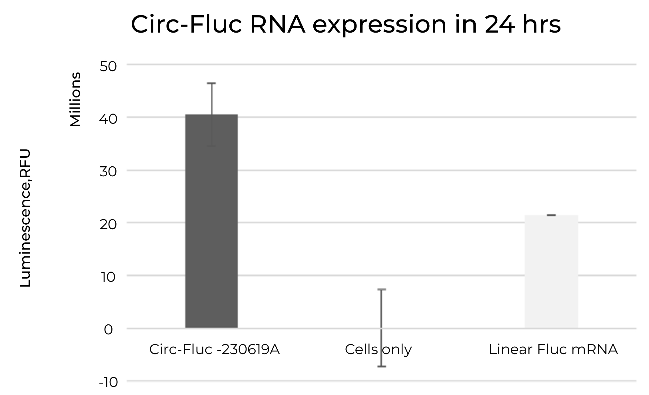 F-Luc 环状RNA