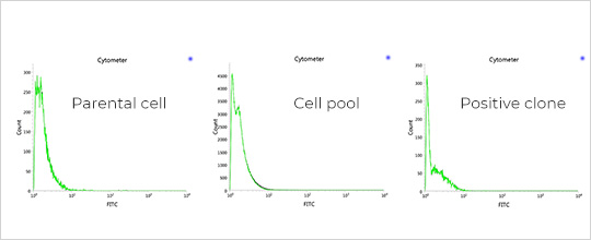 CRISPR Case Study