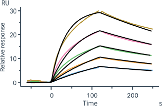 37 VHH-His 1mL Expression *AI generated sequences 37 VHH-His 1mL Expression *AI generated sequences