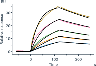 107 Mini Protein 1mL Expression *AI generated sequences 107 Mini Protein 1mL Expression *AI generated sequences