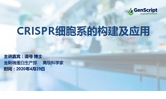 CRISPR细胞系的构建及应用