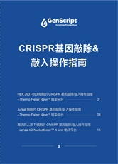 crispr基因敲除和敲入操作指南