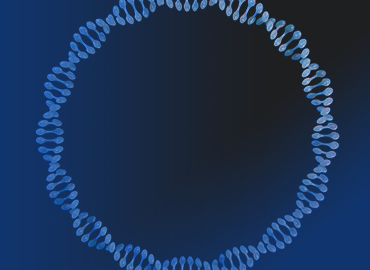CRISPR gRNA文库
