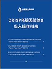 crispr基因敲除和敲入操作指南