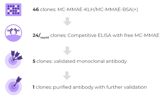 Anti-Idiotypic Antibody Application 