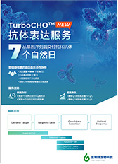 TurboCHO™ 抗体表达服务