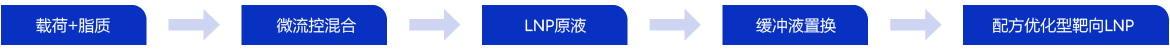 配方优化型靶向LNP生产流程