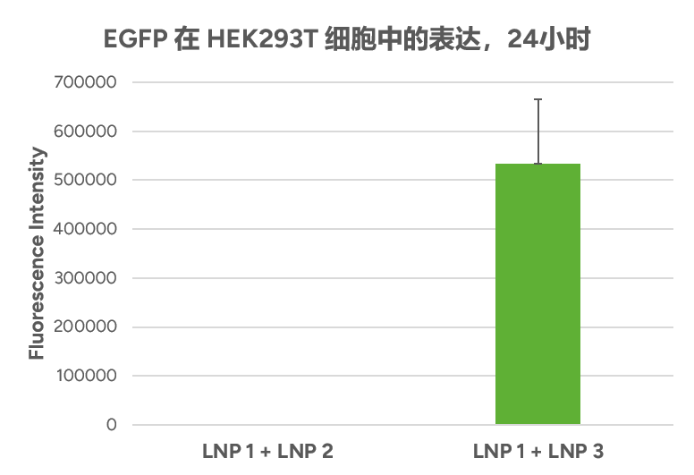 EGFP 在 HEK293T 细胞中的表达，24小时 