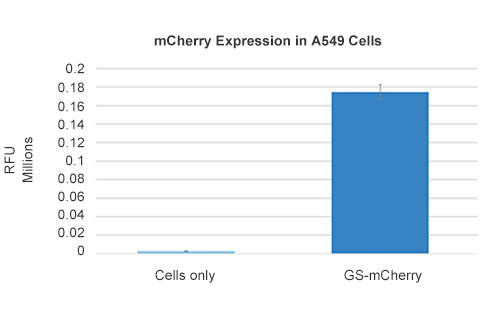 mCherry mRNA data chart