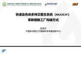 快速染色体多拷贝整合系统（MUCICAT）革新细胞工厂构建方式