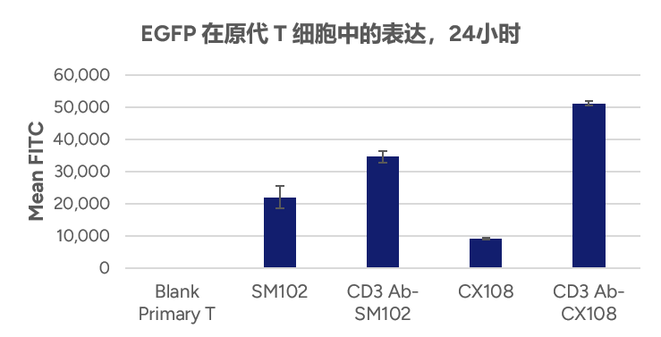 EGFP 在原代 T 细胞中的表达，24小时  