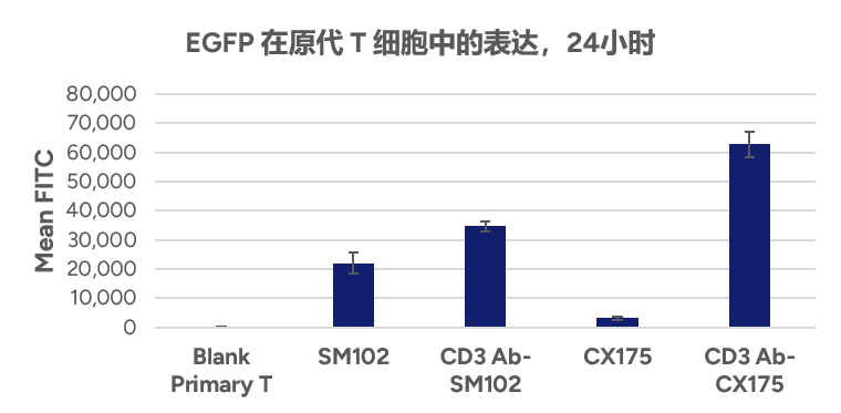 EGFP 在原代 T 细胞中的表达，24小时 