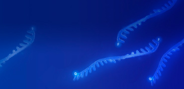 伴随诊断与预后监测