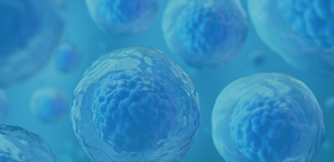 TurboCHO™ Stable Cell Pool & Cell Line