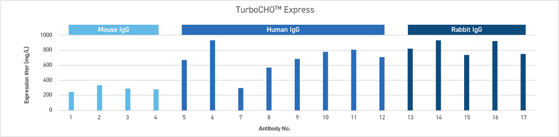High expression titers of multiple isotypes