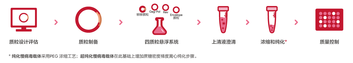 Lentiviral Packaging Workflow