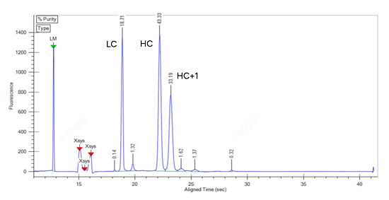 CE-SDS