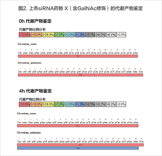 4h后鉴定代谢产物