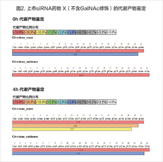 金斯瑞稳定性检测siRNA代谢产物分析 金斯瑞稳定性检测siRNA代谢产物分析