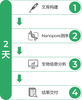 Next-Generation Sequencing (NGS)