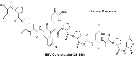 Hepatitis B Virus Core (128-140)