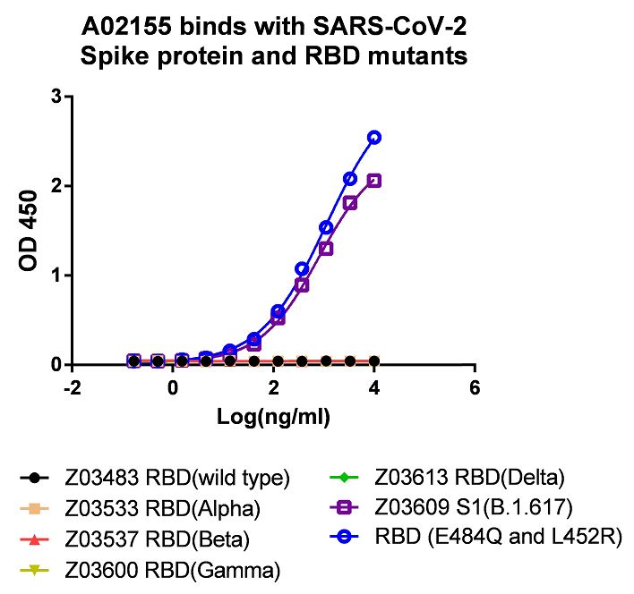 SARS-CoV-2 Spike (484Q) Antibody (Q8), MAb, Mouse