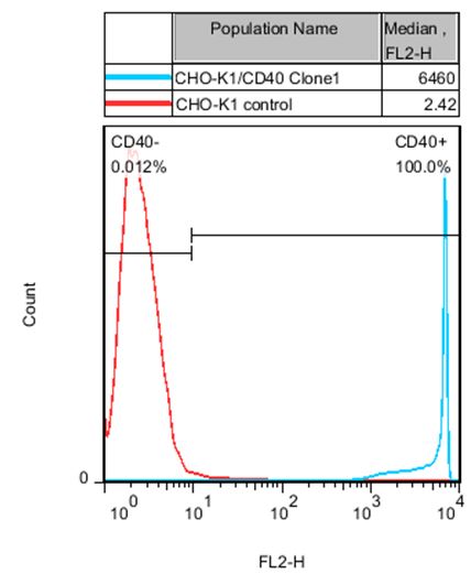 CHO-K1/CD40 Stable Cell Line