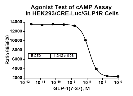 HEK293/CRE-Luc/GLP1R Stable Cell Line