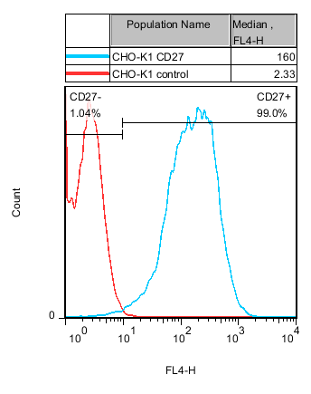 CHO-K1/CD27 Stable Cell Line