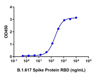 SARS-CoV-2 Spike Protein (RBD, E484Q, L452R, Avi & His Tag)