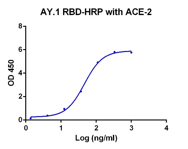 SARS-CoV-2 Spike Protein (RBD, K417N, L452R, T478K, Avi & His Tag)-HRP