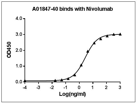 Anti-Nivolumab Antibody(8G6G3D8), MAb, Mouse
